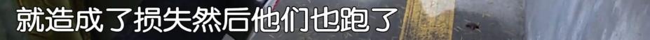 DƬ